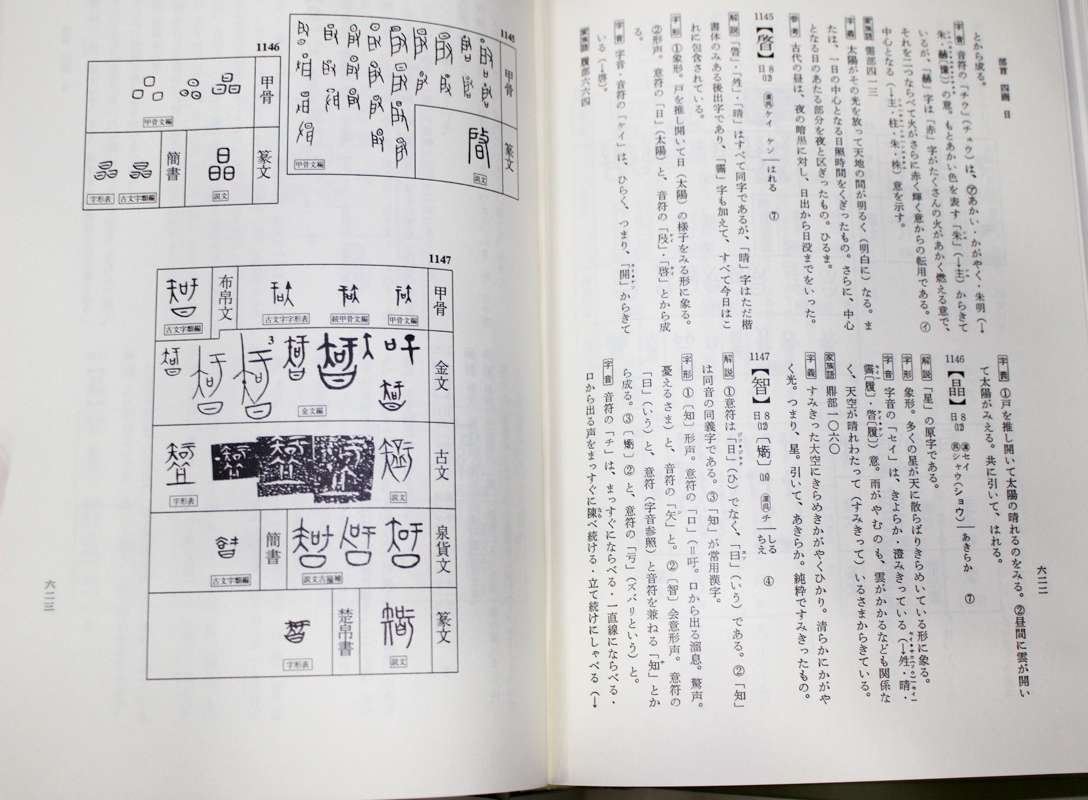 甲骨金文辞典　上下冊　雄山閣　※別冊なし、函なし。※ヨゴレ、スレ多。中は良好。 甲骨金文辞典 上下冊 雄山閣 ※別冊なし、函なし。※ヨゴレ、スレ多。
